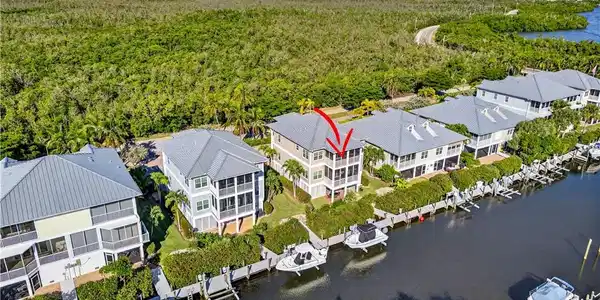 Image 4: Drone / aerial view of lush mangroves