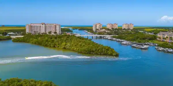 420 Cove Tower DR