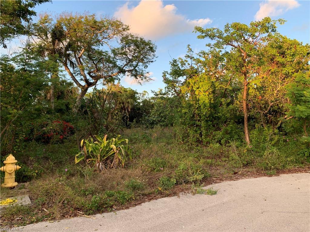 Image 3: View of nature