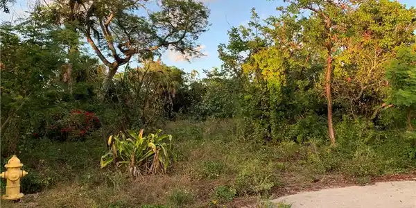 Image 3: View of nature