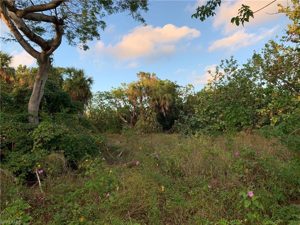 Image 4: View of nature at dusk
