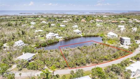 2442 Blue Crab CT