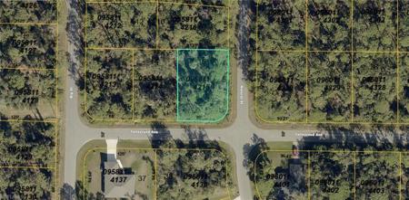 0958-11-4215 Natural ST