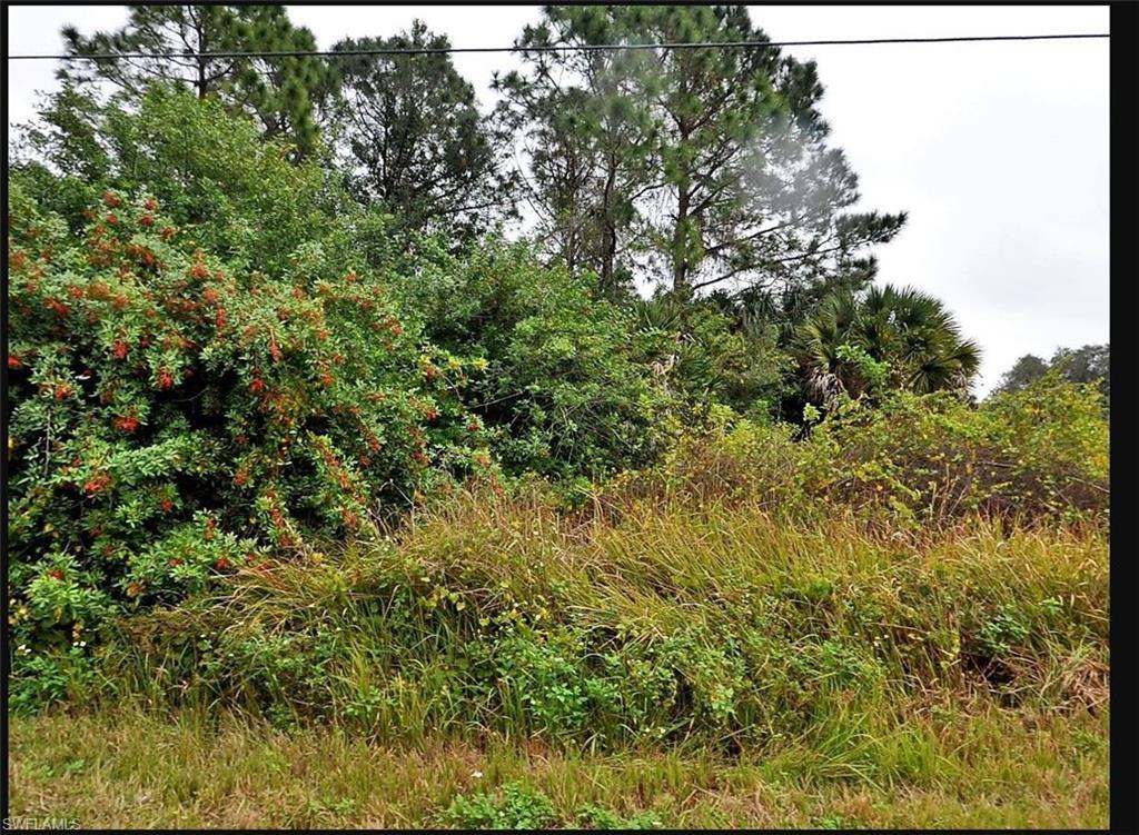Image 4: View of nature