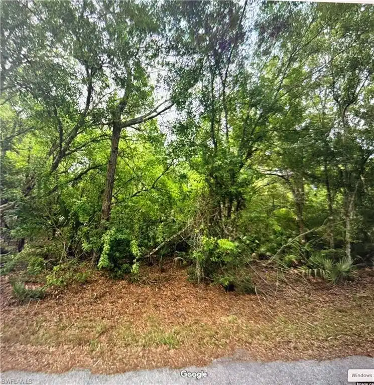 Image 1: View of nature