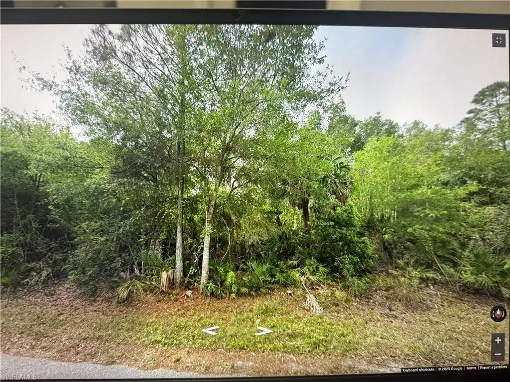 Image 1: View of local wilderness
