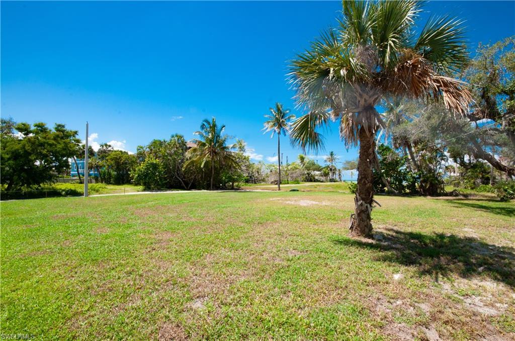 Image 3: View of green lawn