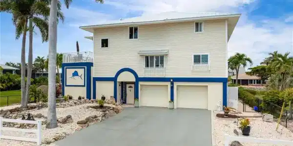 17911 Grey Heron CT