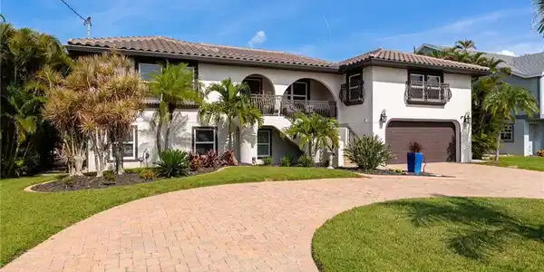 17930 Grey Heron CT