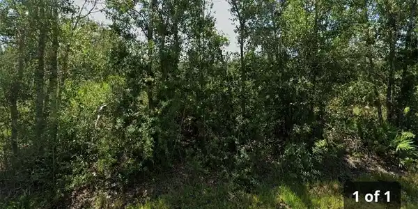 33 Vanilla CIR