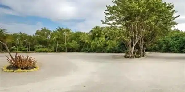 Image 3: Cleared lot