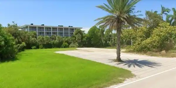 Image 4: cleared lot with a.i. grass/tree