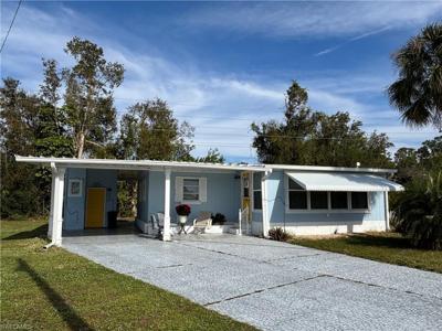 526 Pine Tree CT