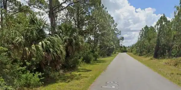 Image 4: View of asphalt street