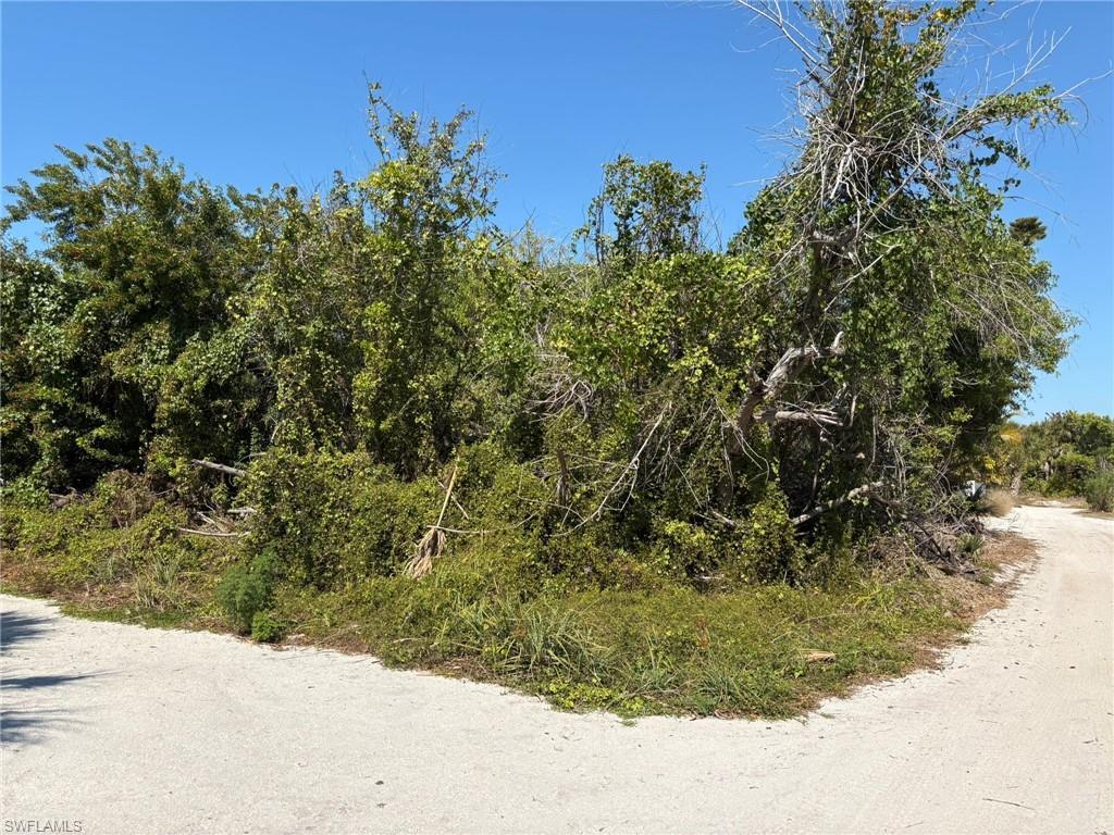 Image 3: Residential Lot