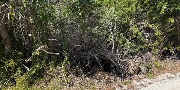 Image 4: Residential Lot