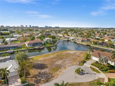 410 Pheasant CT