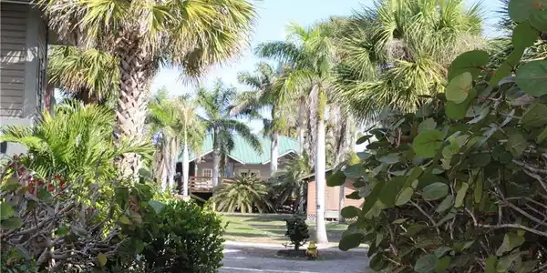 Image 4: Walking Paths