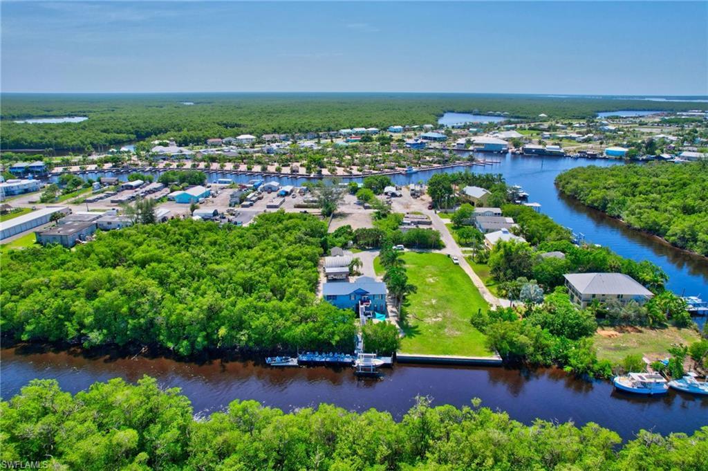 Image 3: Bird's eye view of a large body of water and a forest