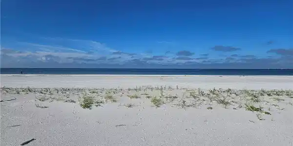 Image 3: Water view featuring local beach