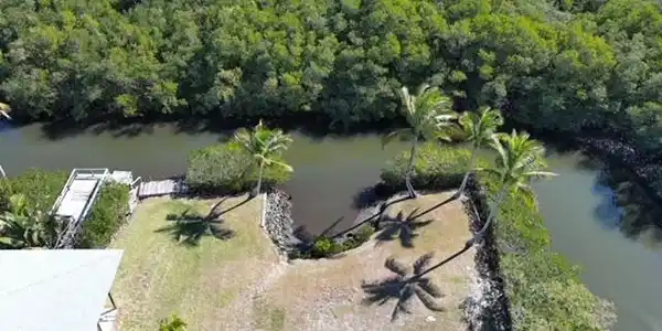 Image 3: Aerial view of property's location with a large body of water and a heavily wooded area