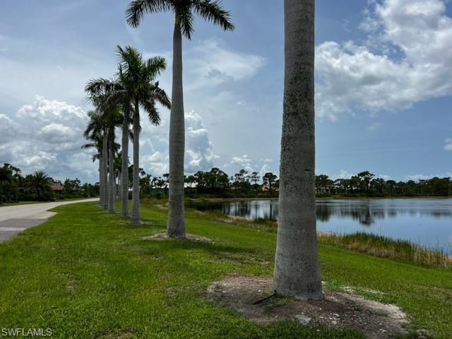 Image 1: Royal Palms