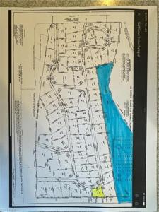 19281 #19 San Carlos BLVD