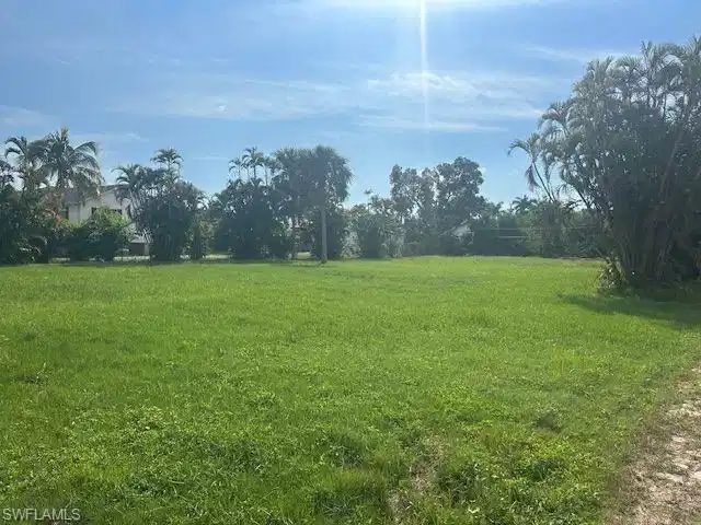 Image 1: View of yard