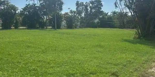 Image 2: View of yard featuring a rural view