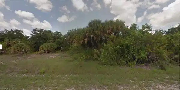Image 2: View of local wilderness featuring a view of trees