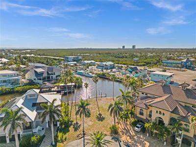 17890 Grey Heron CT