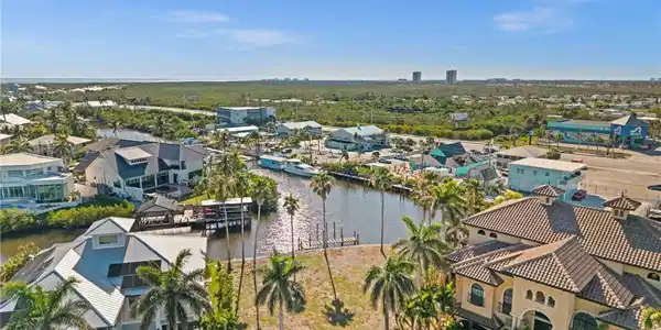 17890 Grey Heron CT