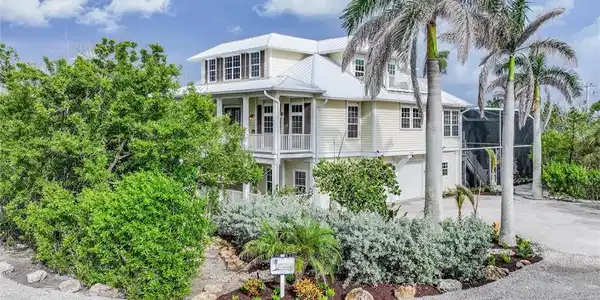 1124 Longifolia CT