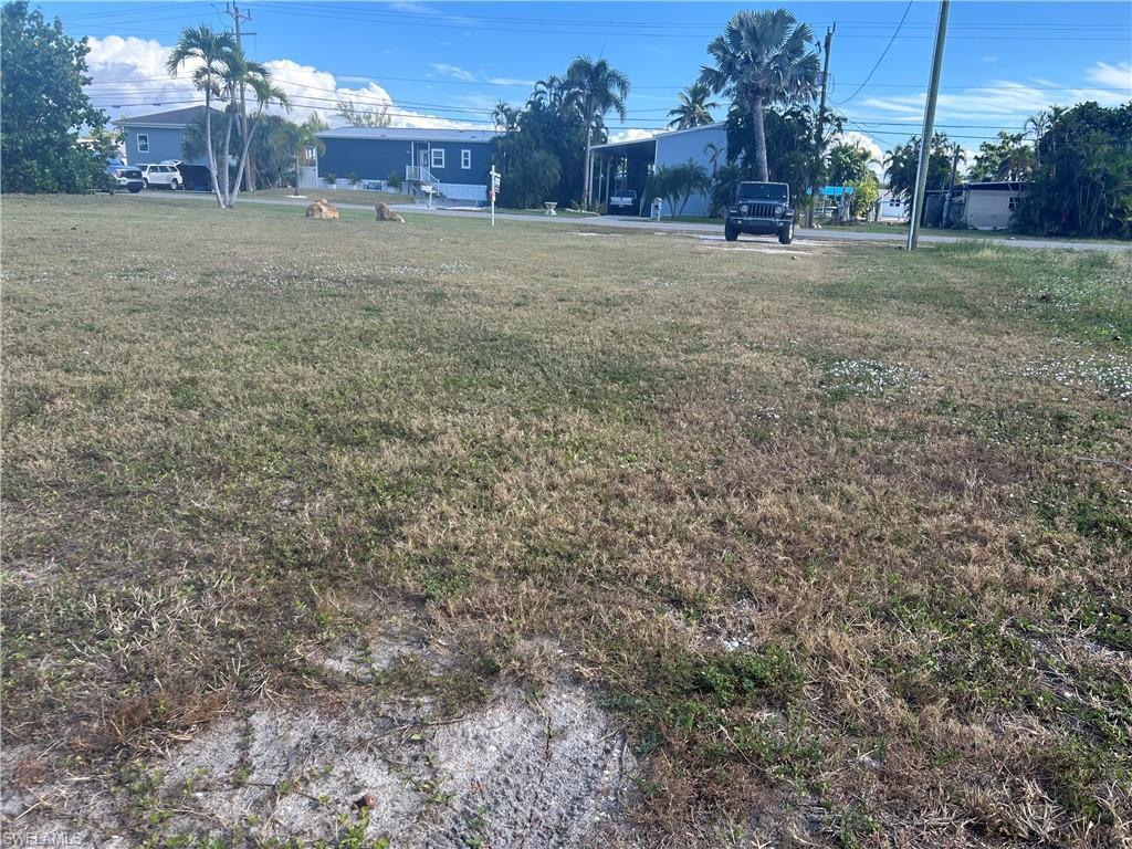 Image 3: View of yard