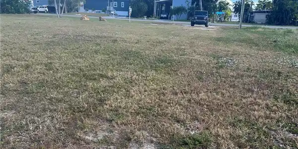 Image 3: View of yard