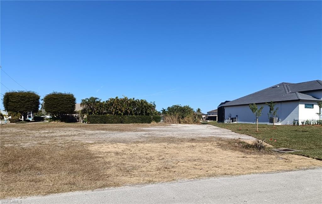 Image 4: View of yard
