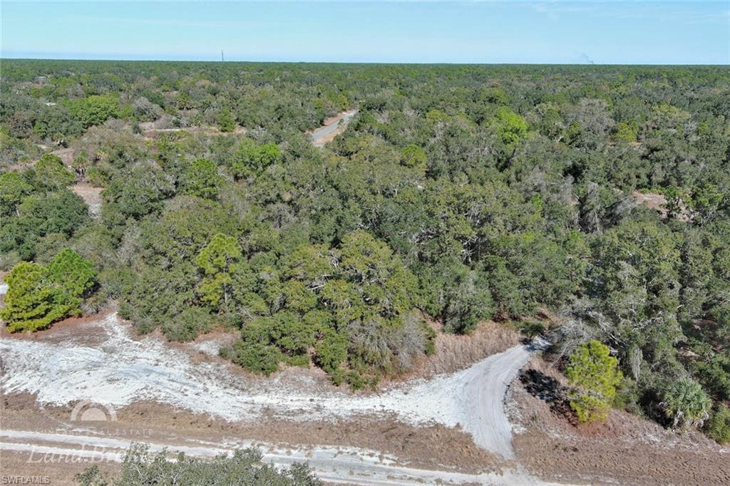Image 4: Aerial view of property and surrounding area with a heavily wooded area