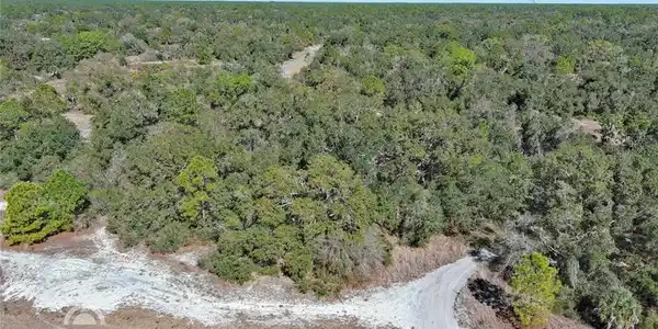 Image 4: Aerial view of property and surrounding area with a heavily wooded area