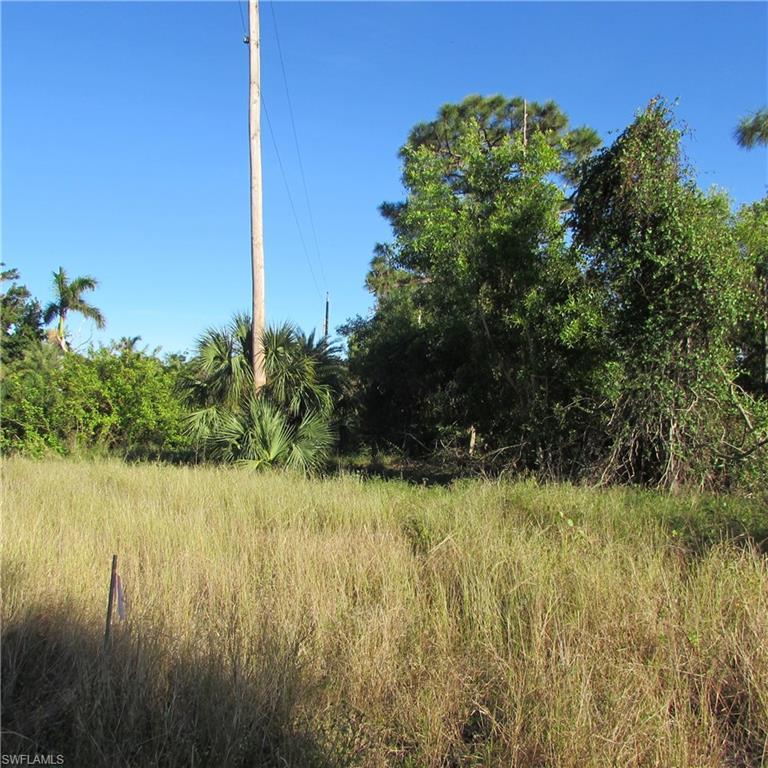 Image 2: View of local wilderness