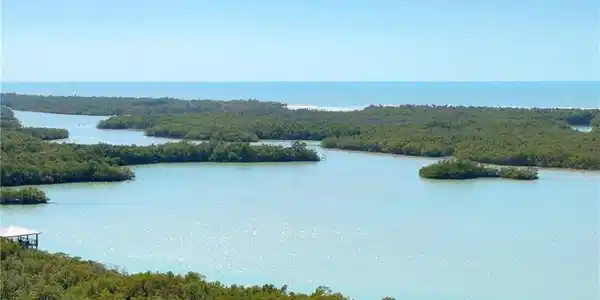 Image 3: Water view with a heavily wooded area