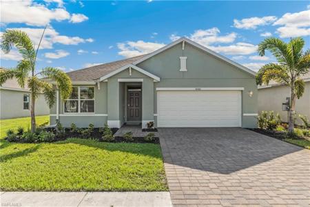 10308 Blooming Blossom CT