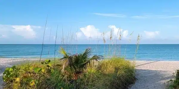 4646 Rue Bayou