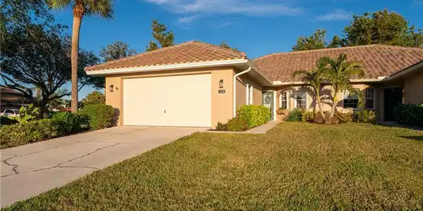 15229 Tropicbird CT