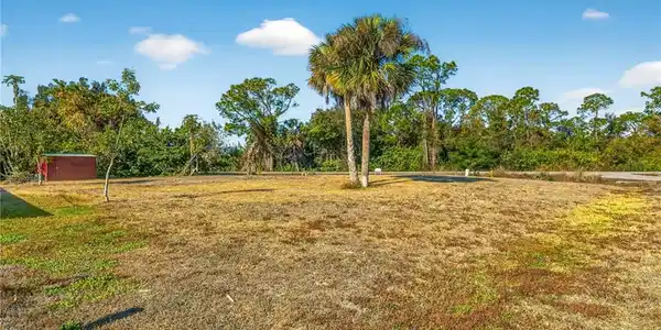 Image 3: View of yard