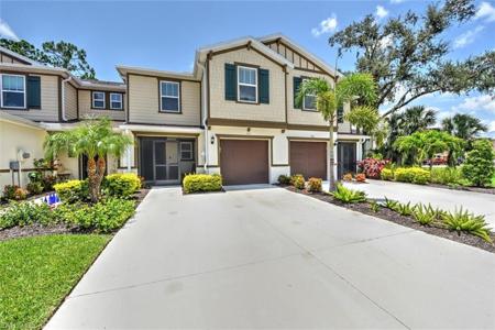 15121 Piping Plover CT