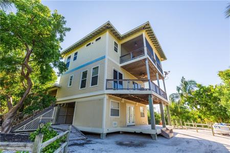 331 Spanish Gold LN