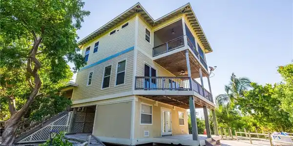 331 Spanish Gold LN