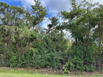 12408 Dolphin RD