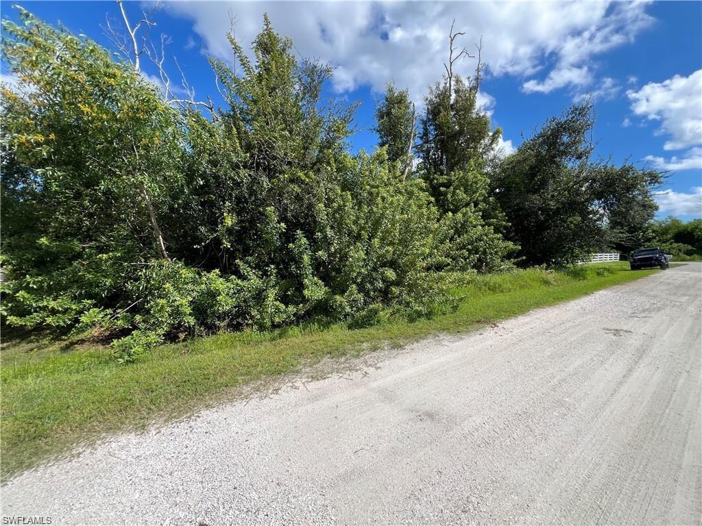 Image 1: View of road