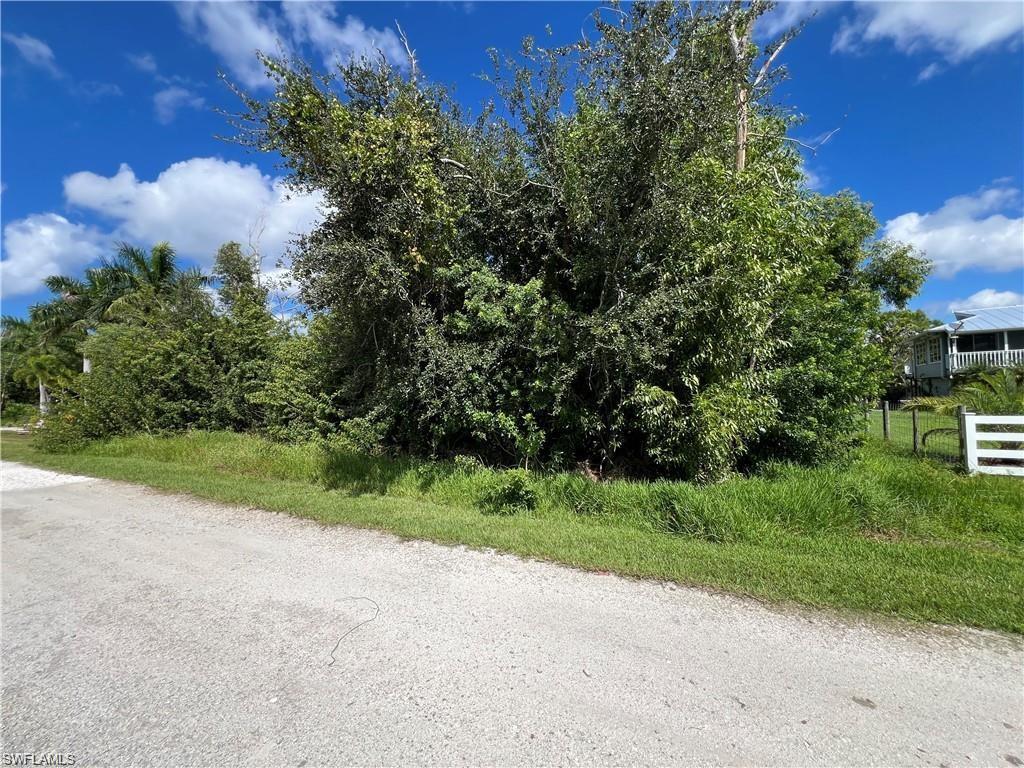 Image 4: View of road
